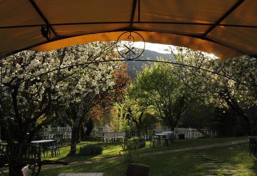 בית מלון כפרי Carmel