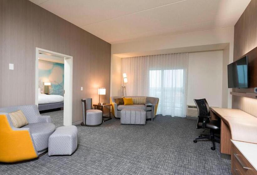 酒店 Courtyard By Marriott Mt. Pleasant At Central Michigan University