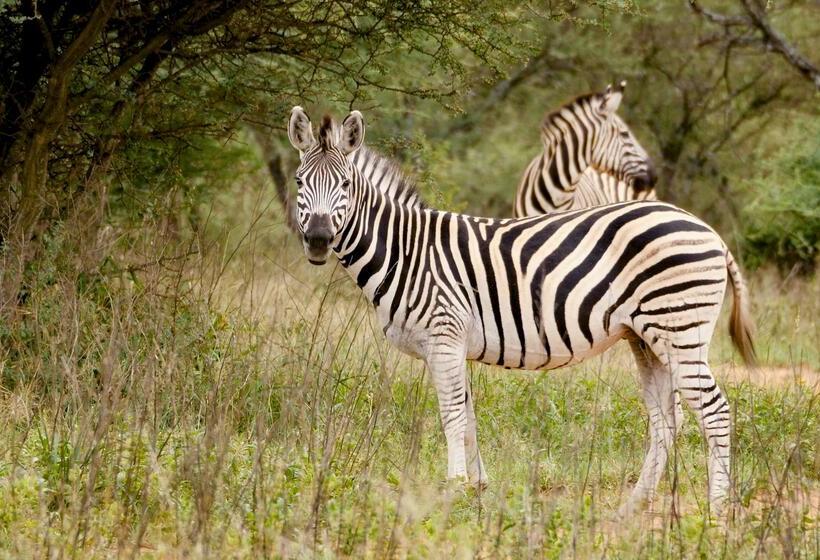 ホテル Finfoot Lake Reserve By Dream Resorts