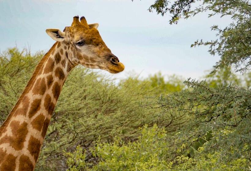 فندق Finfoot Lake Reserve By Dream Resorts