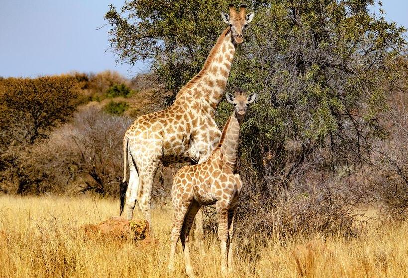 فندق Finfoot Lake Reserve By Dream Resorts