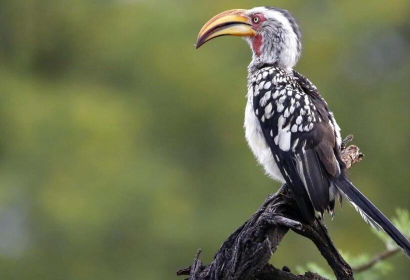 בית מלון כפרי Finfoot Lake Reserve By Dream Resorts