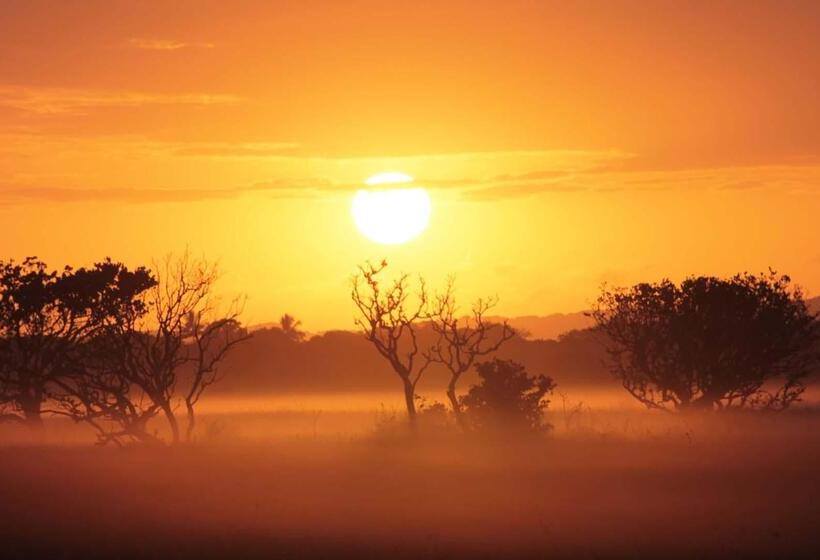 فندق Finfoot Lake Reserve By Dream Resorts