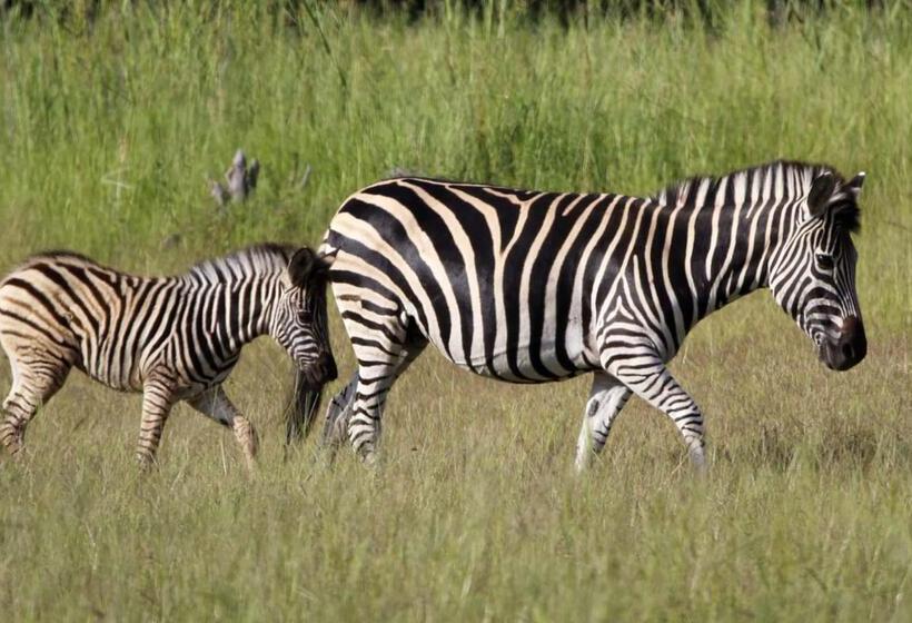 فندق Finfoot Lake Reserve By Dream Resorts