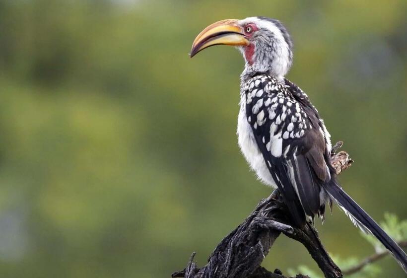 فندق Finfoot Lake Reserve By Dream Resorts