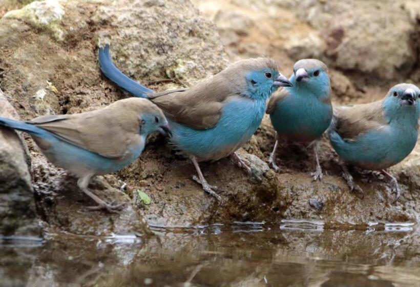 فندق Finfoot Lake Reserve By Dream Resorts