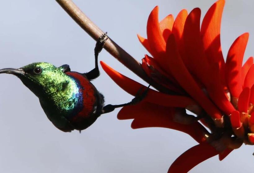 בית מלון כפרי Finfoot Lake Reserve By Dream Resorts