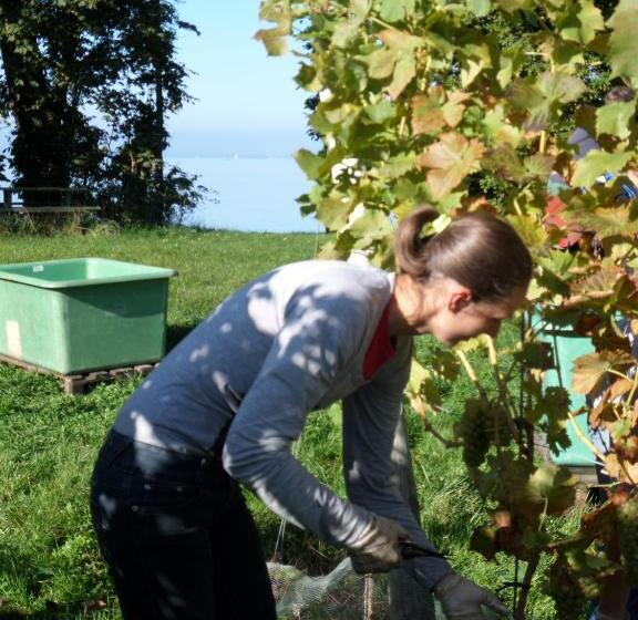 호텔 Gästehaus Hornstein