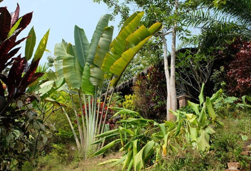 酒店 Hillside  Nature Lifestyle Lodge