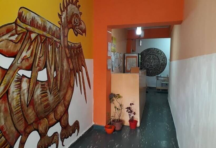 هتل Hostal Amalaya