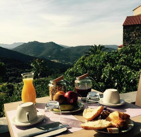 酒店 Hôtel Villa Les Orangers