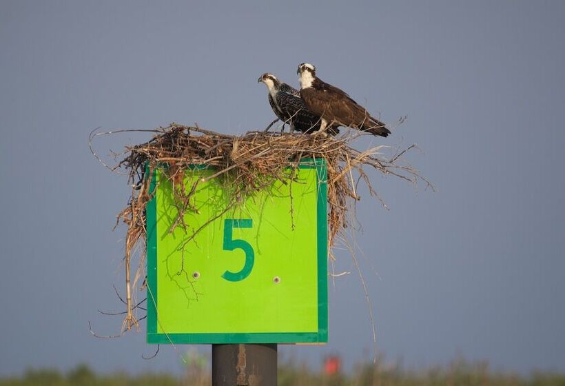 فندق Knapps Narrows Marina & Inn