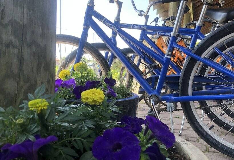 فندق Knapps Narrows Marina & Inn