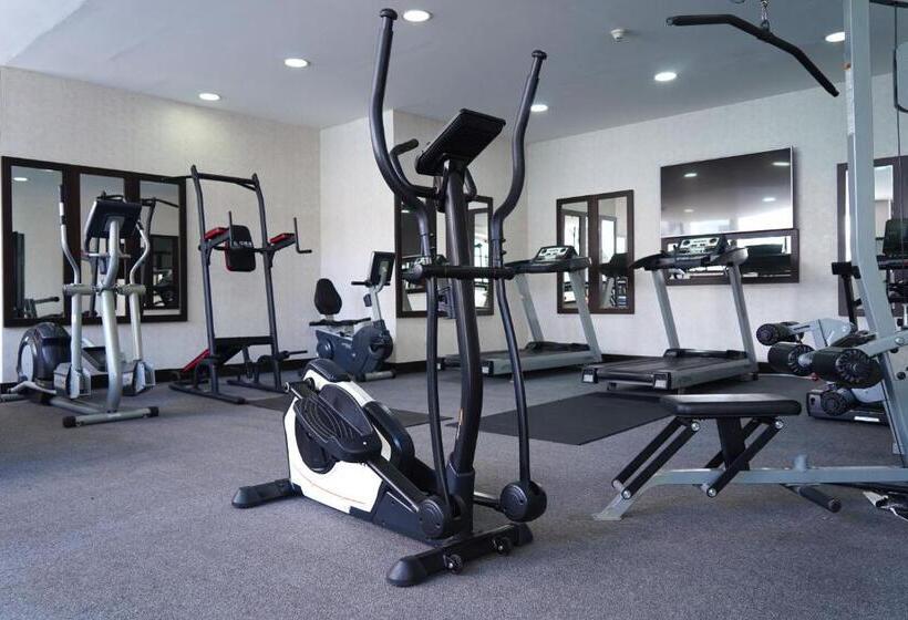 Mena Tyche Hotel Amman