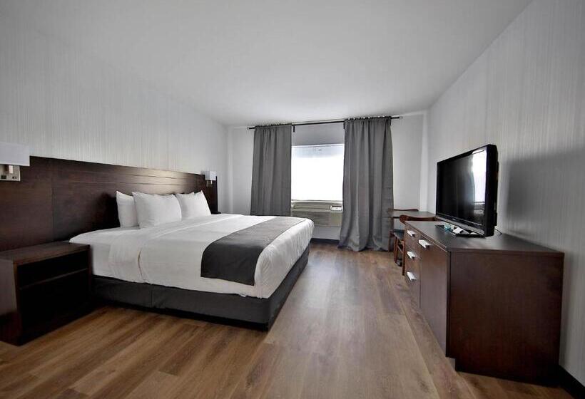 ホテル Newstar Montreal