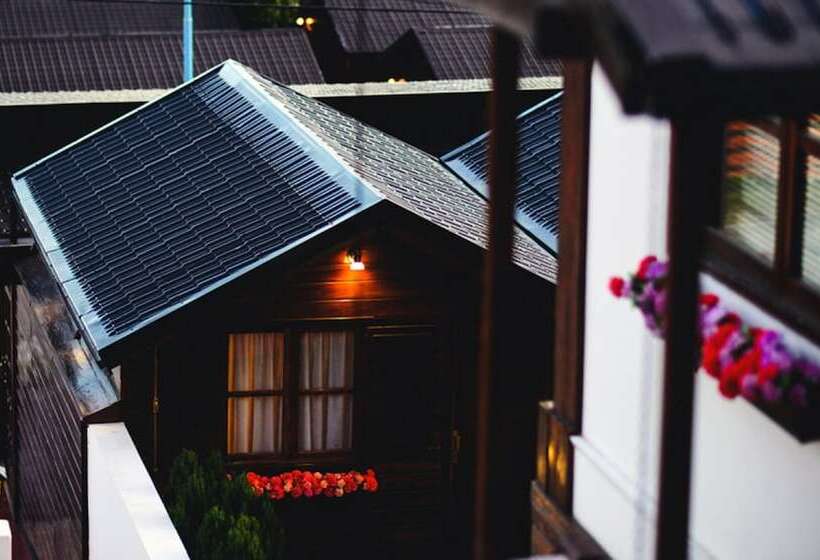 酒店 Posada Fueguina