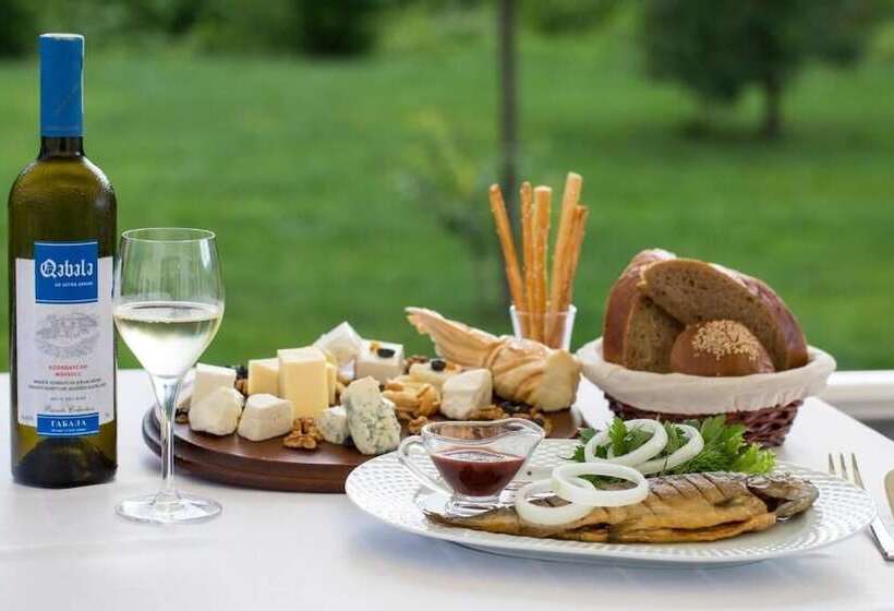 هتل Gabala Yengice Thermal Resort