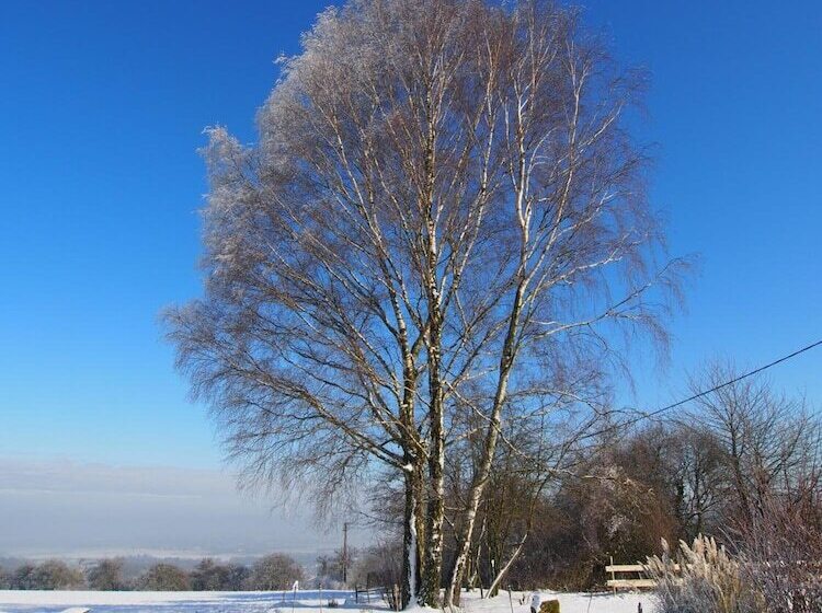 호텔 Restaurant Margaretenhof
