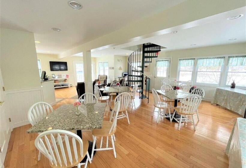 Отель The Escape Inn