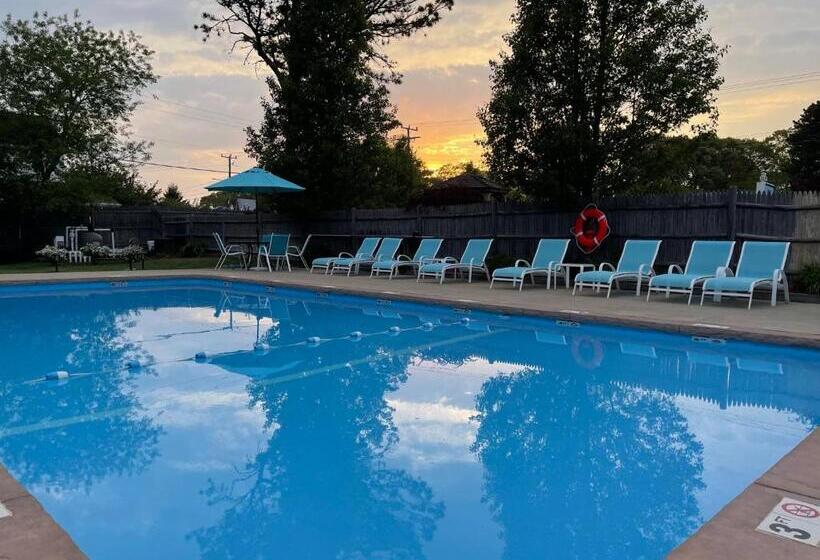 Отель The Escape Inn