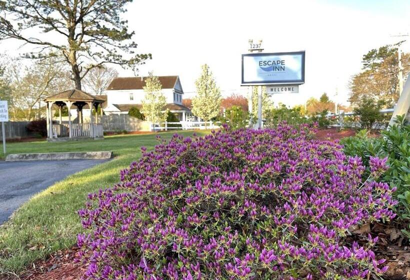 هتل The Escape Inn