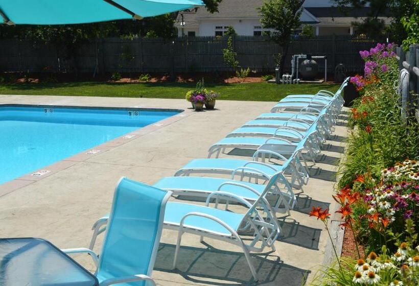 Отель The Escape Inn