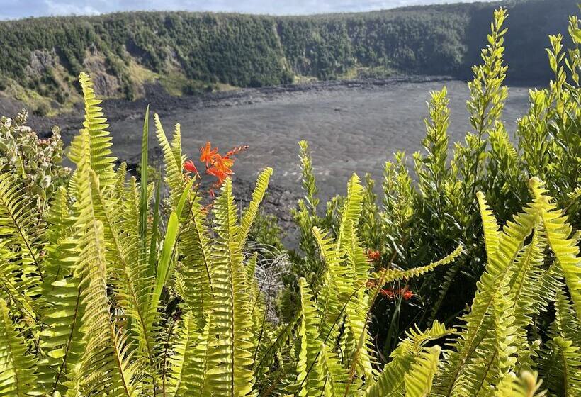 בית מלון כפרי Volcano Village Estates