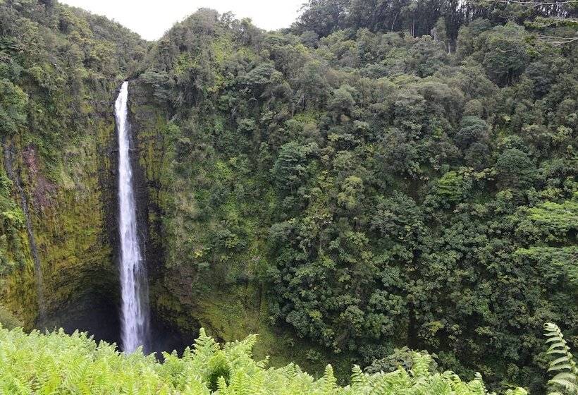בית מלון כפרי Volcano Village Estates