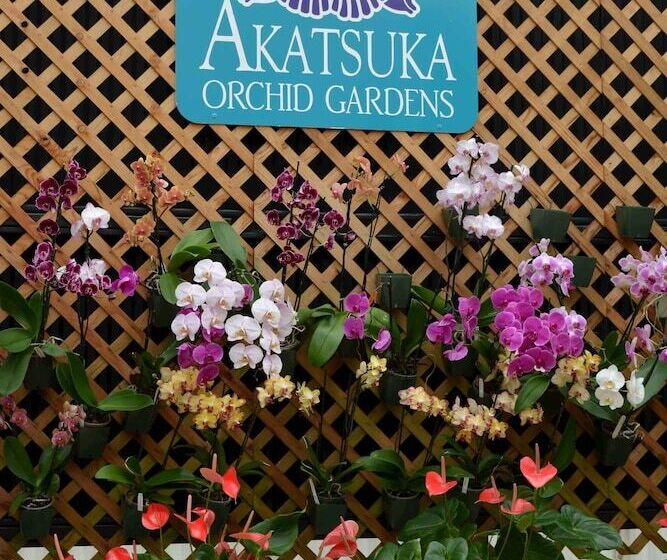 בית מלון כפרי Volcano Village Estates