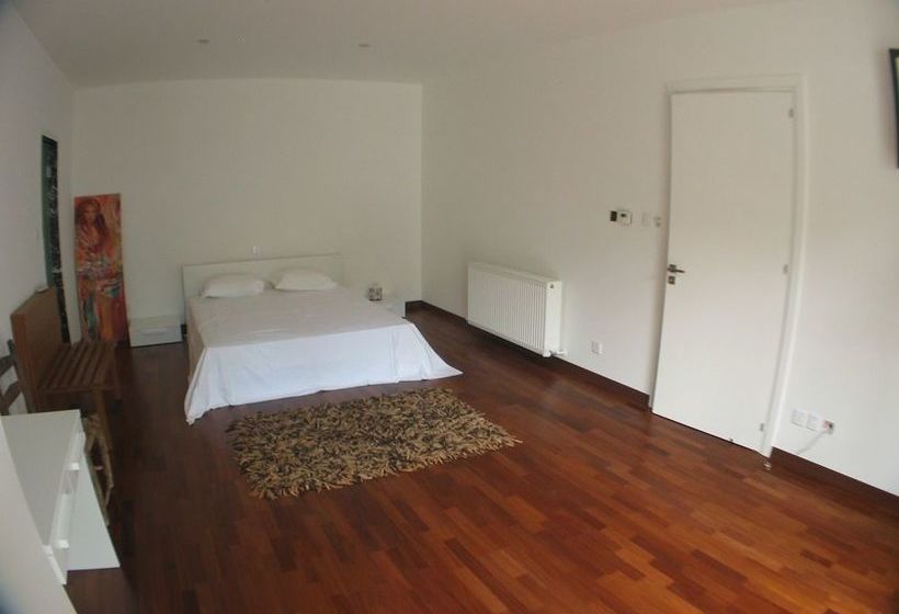 Lioness  Fountain Villa