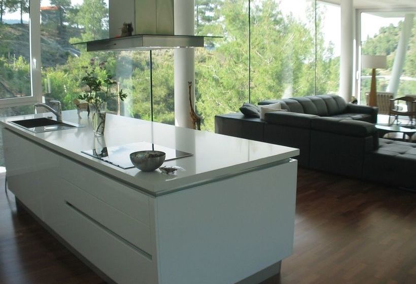 Lioness  Fountain Villa