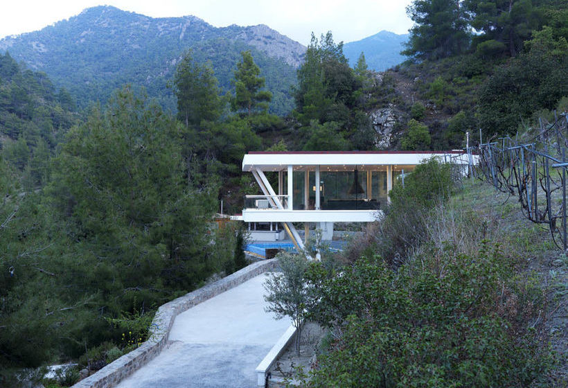 Lioness  Fountain Villa