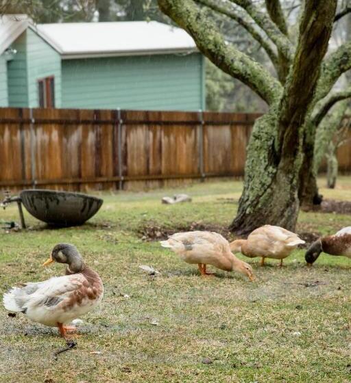 פנסיון Etico At Mount Victoria Manor