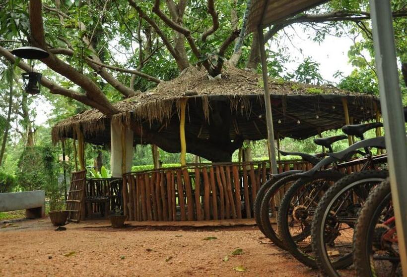 פנסיון Sujatha Tourist Rest