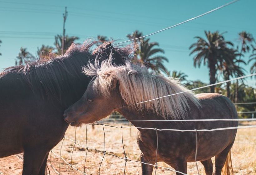 Seppelts View Cabins