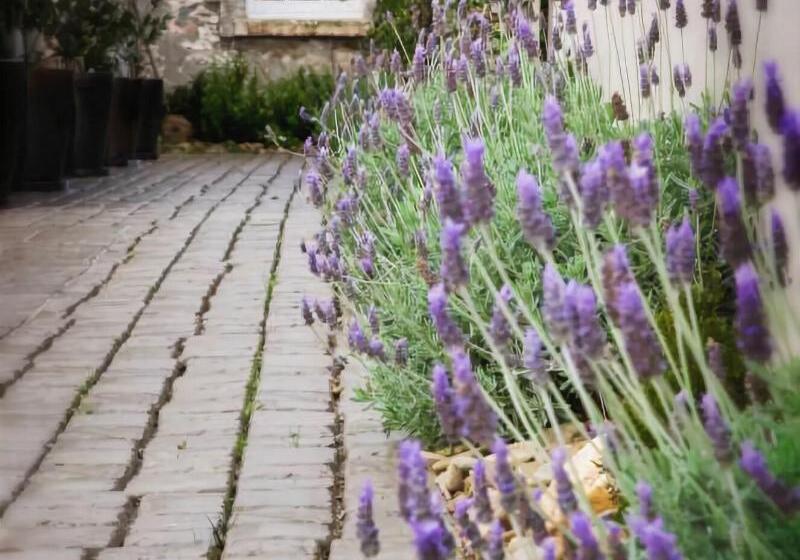 Bed and Breakfast The Customs House Port Macdonnell