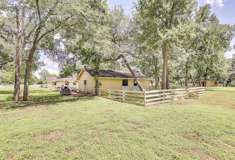 Bright Wallis Cottage W/ Pergola & Grill!