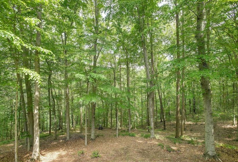 Byrdstown Cabin   W/ Fire Pit, Near Marina & Lake!