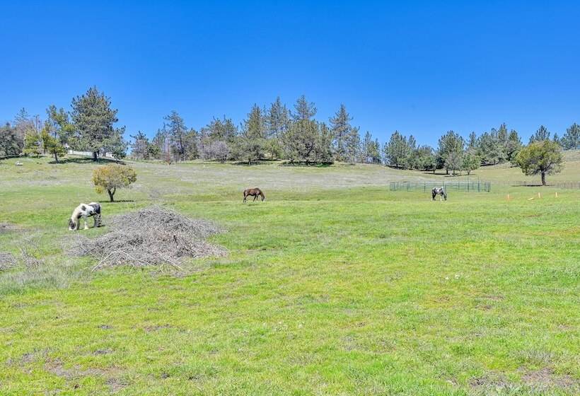 Julian Cottage Stay W/ Near Wildlife & Wineries