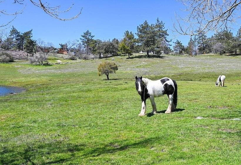 Julian Cottage Stay W/ Near Wildlife & Wineries