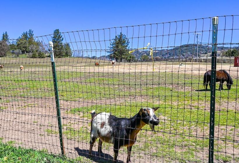 Julian Cottage Stay W/ Near Wildlife & Wineries