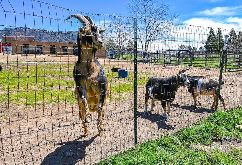 Julian Cottage Stay W/ Near Wildlife & Wineries