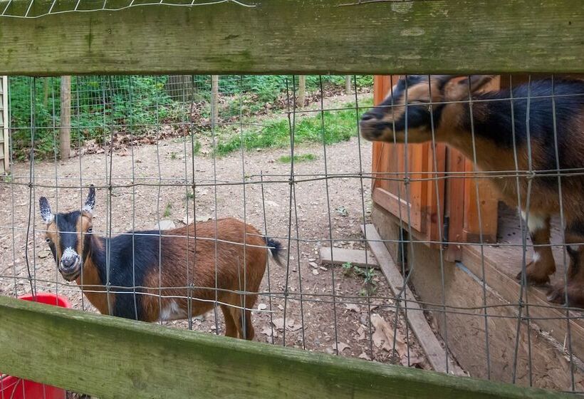 Charming Manheim Cottage W/ On Site Animal Viewing