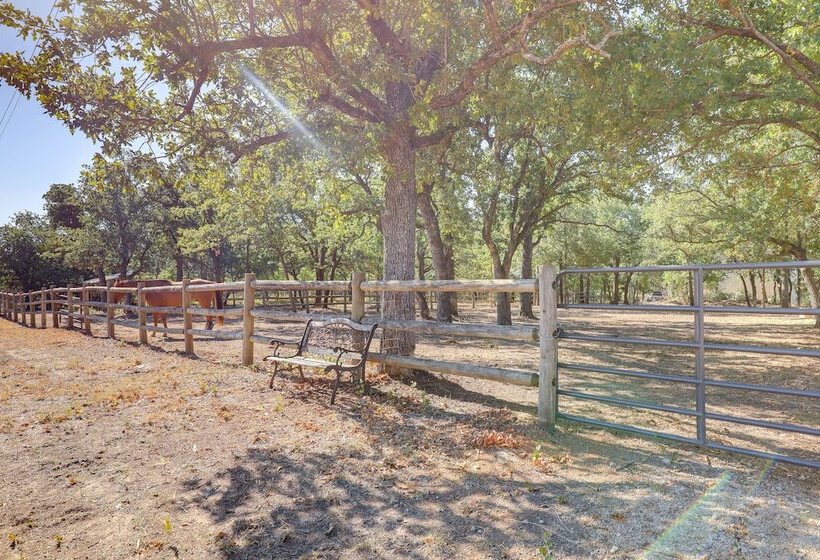 Horse Friendly Weatherford Oasis W/ Splash Pool