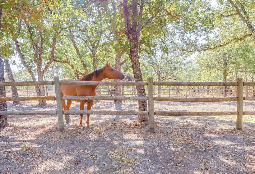 Horse Friendly Weatherford Oasis W/ Splash Pool