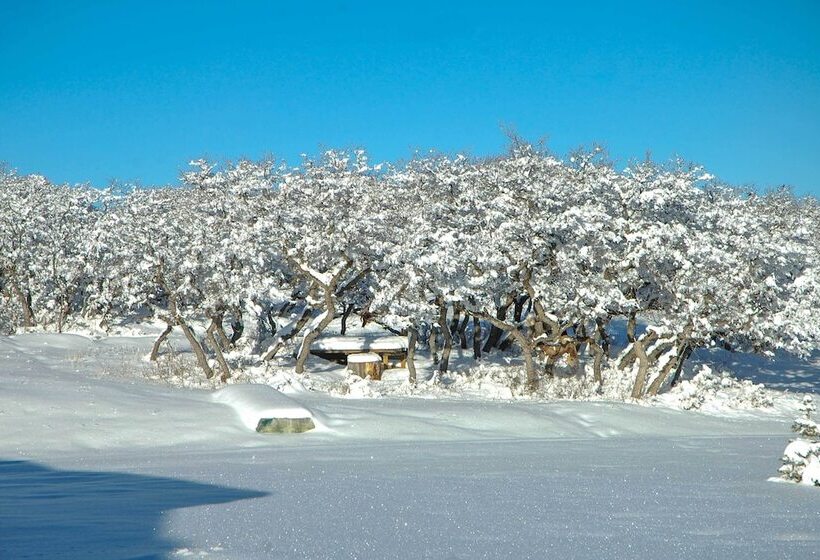 Norwood Home On 36 Acres: Hunting, Fishing & More!