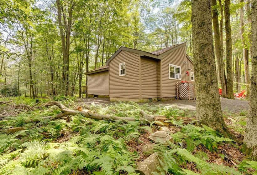 Papa S Christmas Cabin  In Gouldsboro W/ Deck!