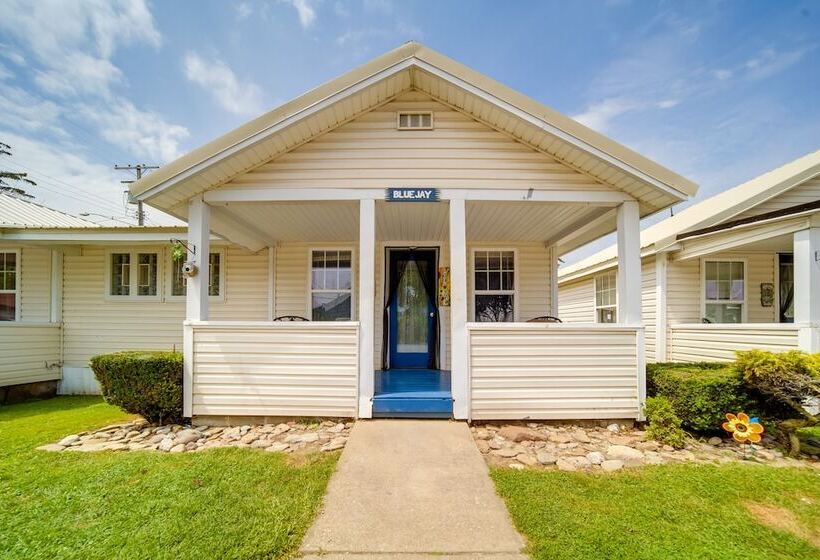 Pet Friendly Lake Erie Cottage   Walk To The Water