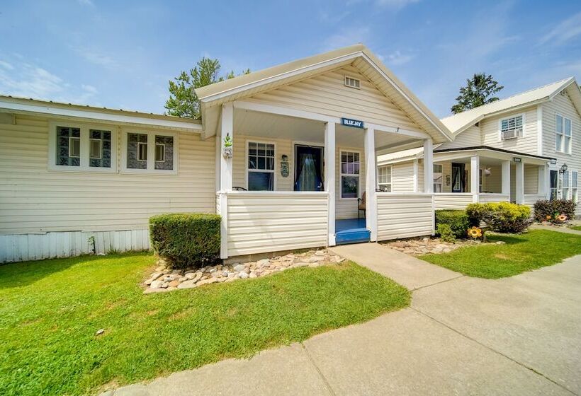 Pet Friendly Lake Erie Cottage   Walk To The Water