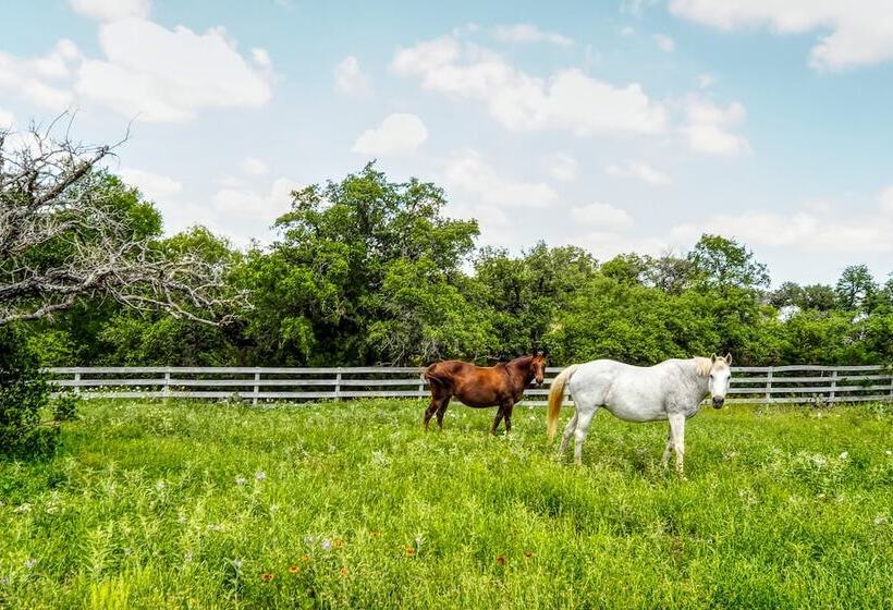 Rustic Elegant Cabin: Deck, Near Lake Travis!